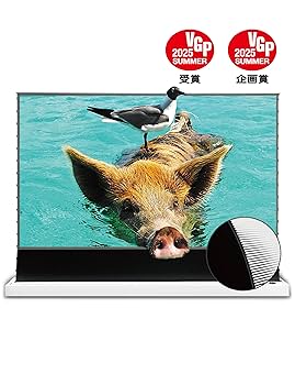VIVIDSTORM 4K 電動プロジェクタースクリーン超短焦点 100インチ 超短焦点プロジェクター専用 100インチ環境光抵抗 電動